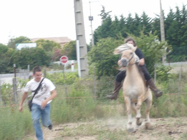 Photo de profil de pursangarbe2