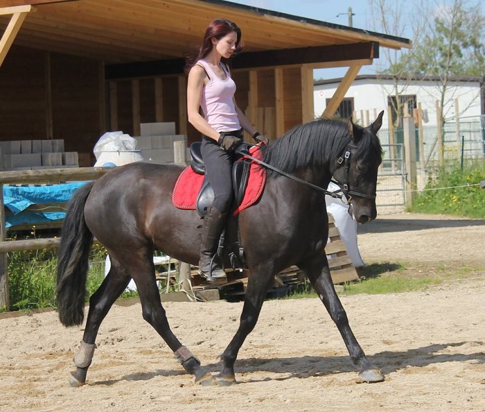Photo de profil de corto89