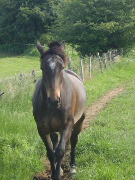 Photo de profil de nathalielahure