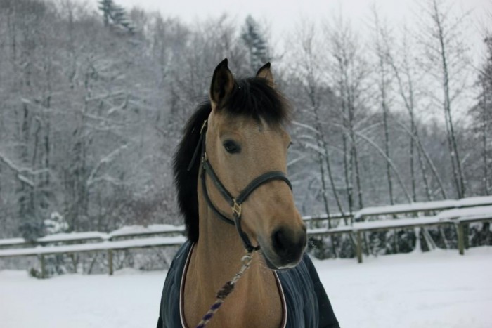 Photo de profil de manon694