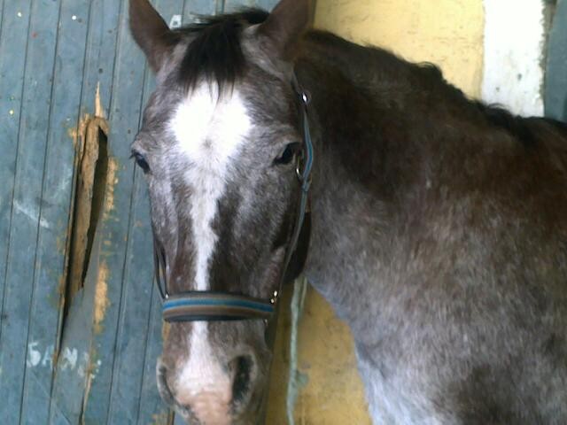 Photo de profil de firsty
