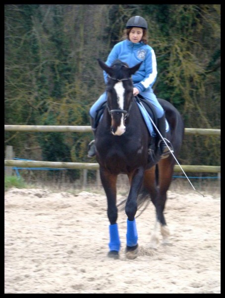 Photo de profil de bledors