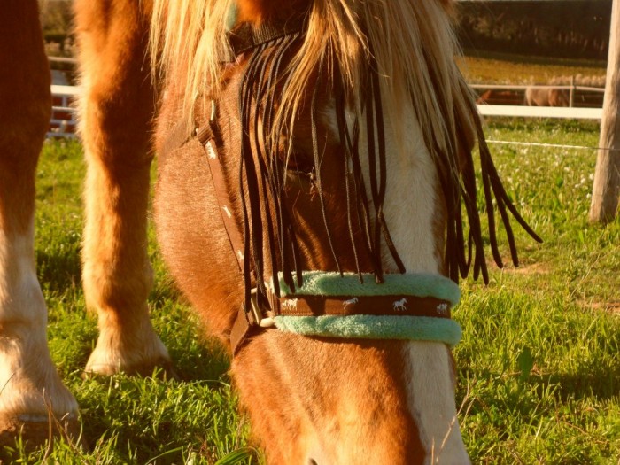 Photo de profil de hisman