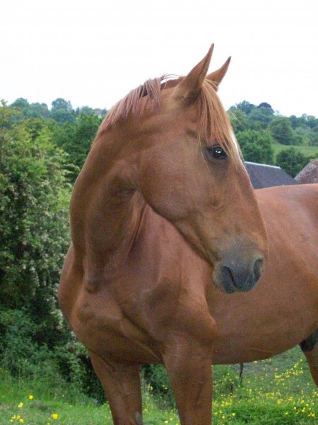 Photo de profil de atika