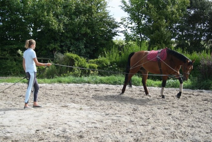Photo de profil de annelucy