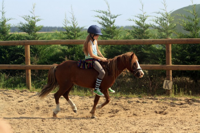 Photo de profil de vanille62