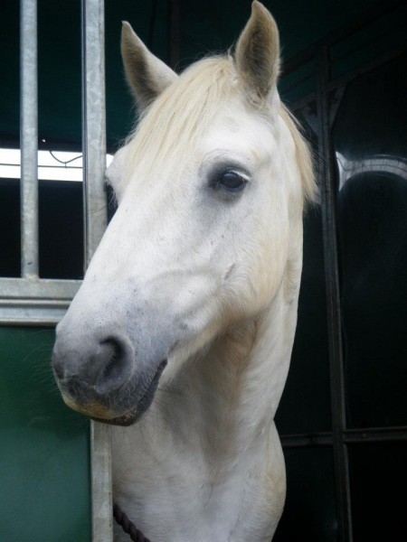 Photo de profil de rooose03