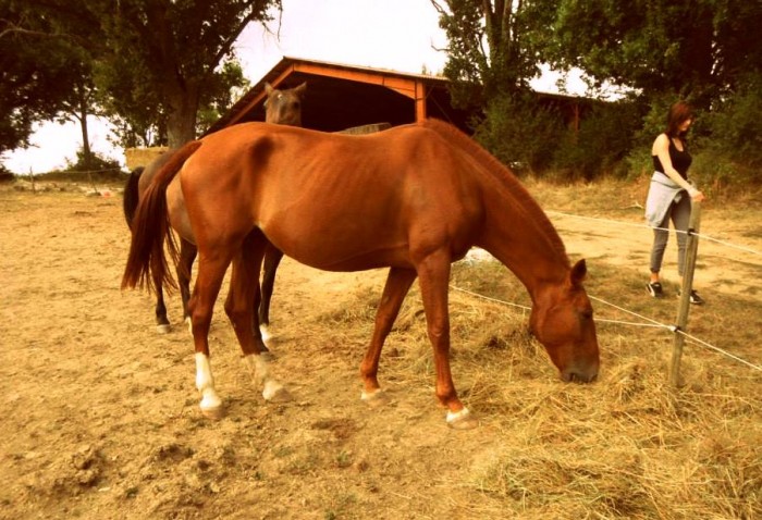 Photo de profil de pingou32