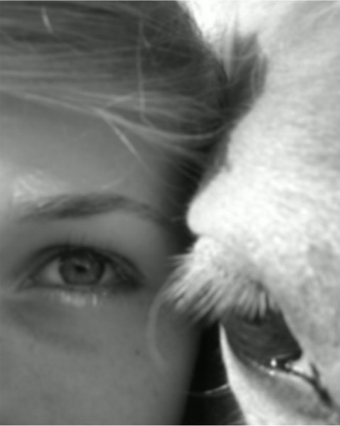 Photo de profil de lamisspinkie