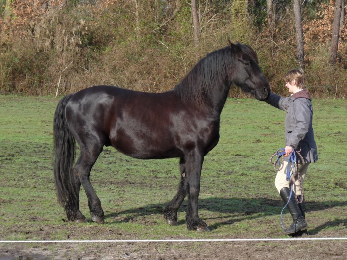 Photo de profil de azufell51