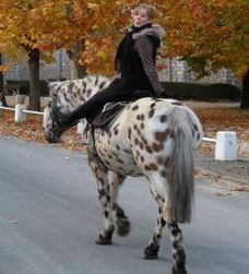 Photo de profil de celine41