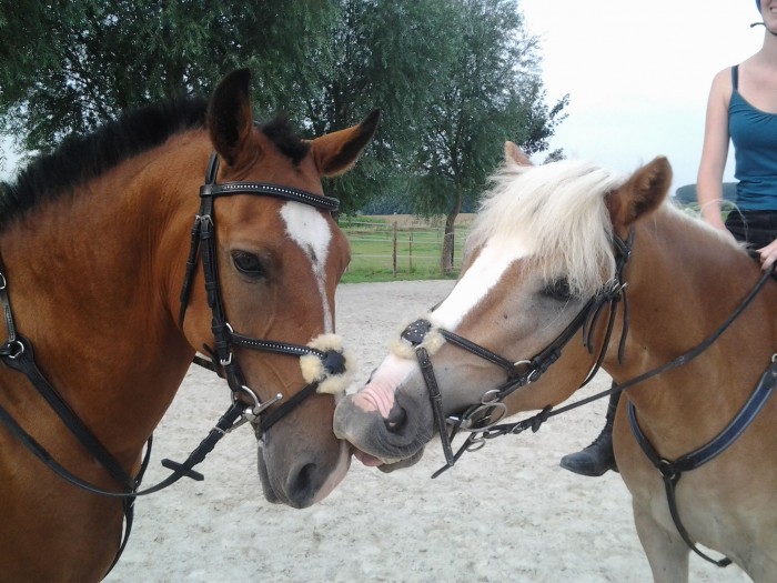 Photo de profil de oceane1994