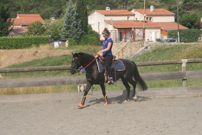 Photo de profil de rosekaly