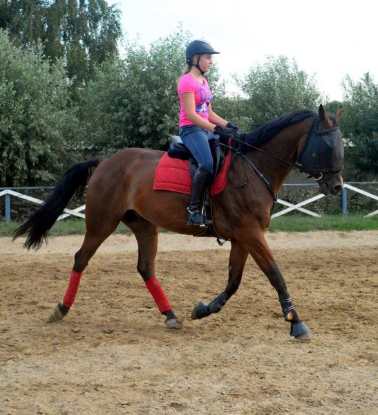 Photo de profil de alpenkoning