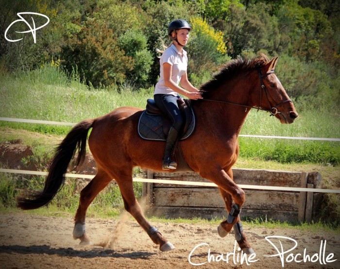 Photo de profil de margauuxx