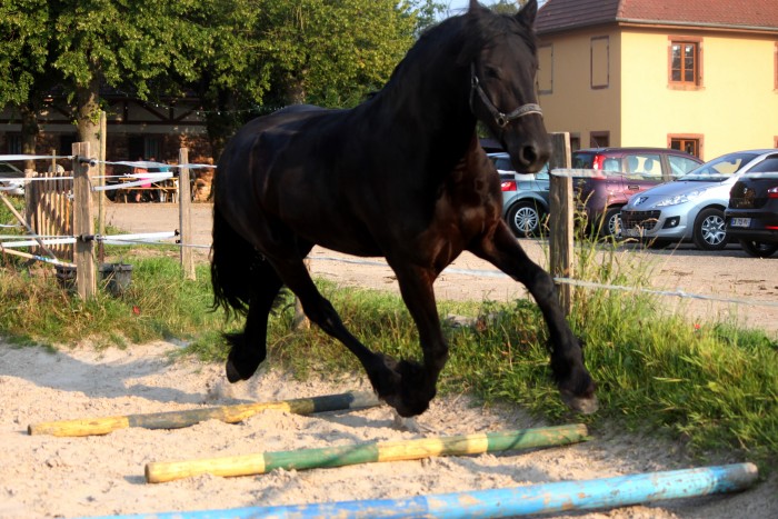 Photo de profil de julienzo