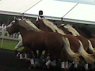 Photo de profil de mariehoff