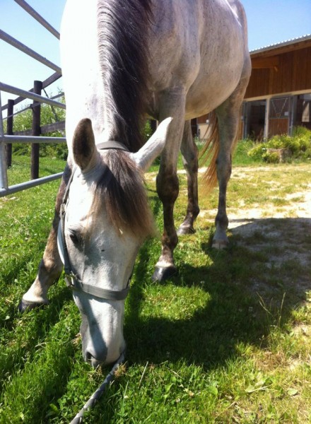 Photo de profil de marinegd