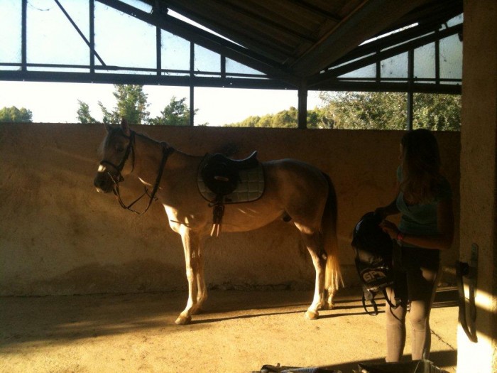 Photo de profil de ates