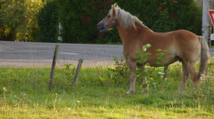 Photo de profil de elodu58