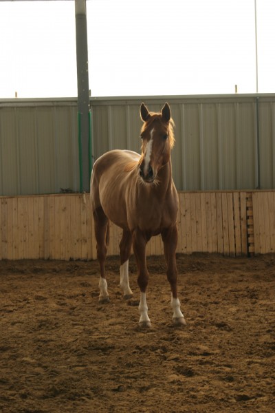 Photo de profil de siane84