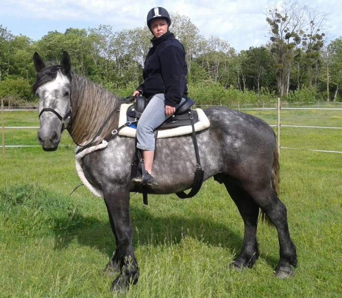 Photo de profil de didilalicorne
