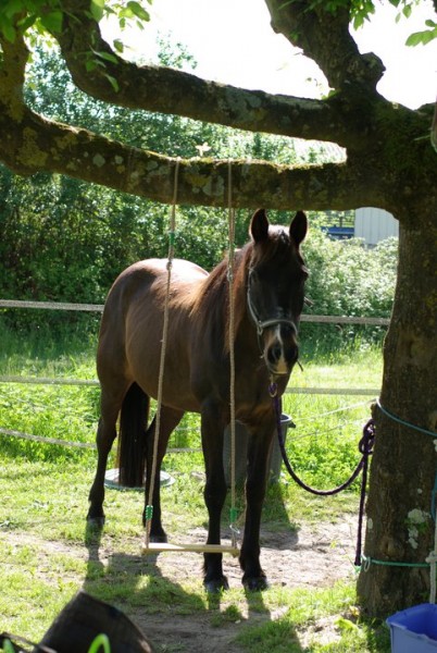 Photo de profil de lorfer33