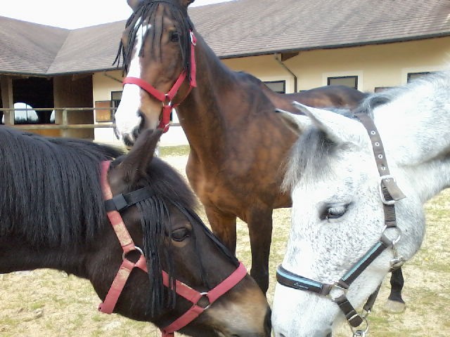 Photo de profil de dpe2000