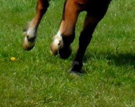 Photo de profil de perliose