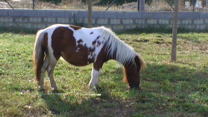 Photo de profil de pennydelagaline