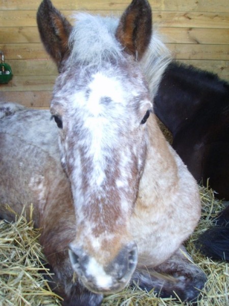 Photo de profil de lolguizmolol