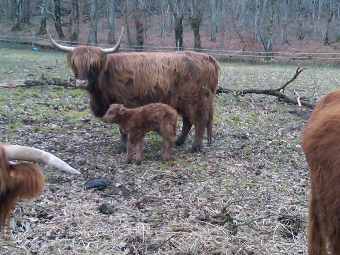 Photo de profil de bougbert