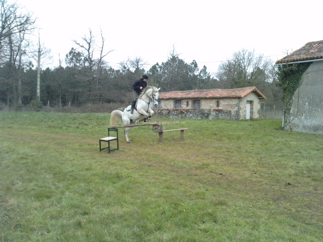 Photo de profil de 123jen123