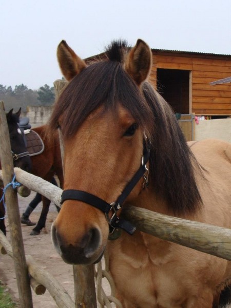 Photo de profil de elobozzo