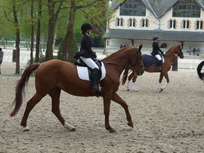 Photo de profil de loury