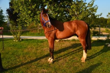 Photo de profil de reinoud