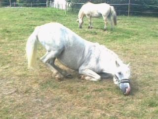 Photo de profil de dorianne11