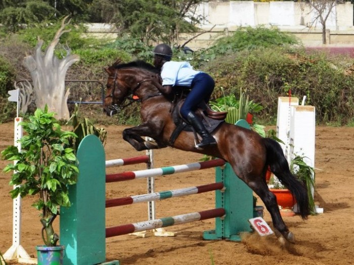 Photo de profil de rimkasow