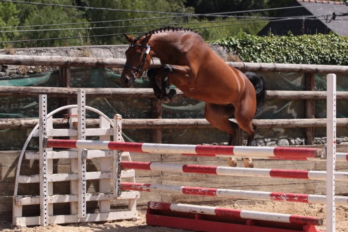 Photo de profil de briseisdebazil