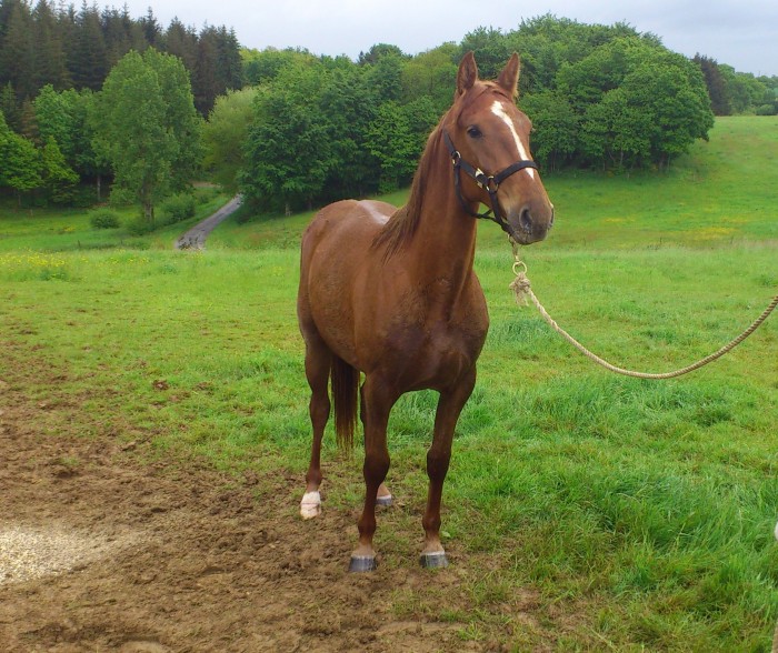 Photo de profil de gilles02