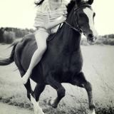 Photo de profil de aagathekidrauhl