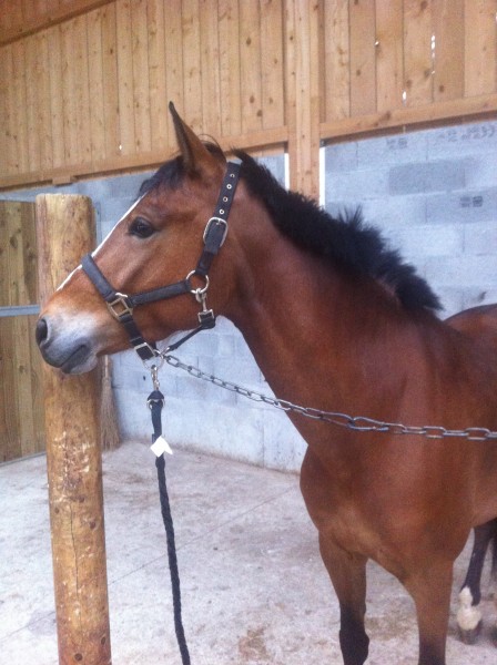 Photo de profil de ninini74