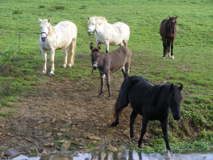 Photo de profil de angie71