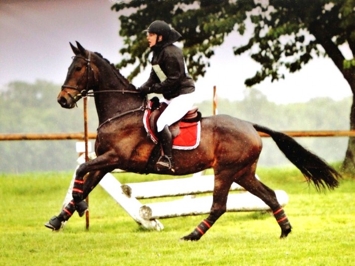 Photo de profil de stehlin