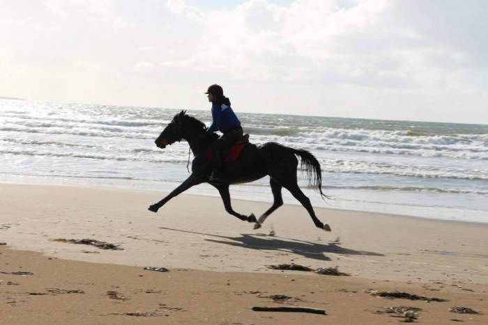 Photo de profil de lisakerma