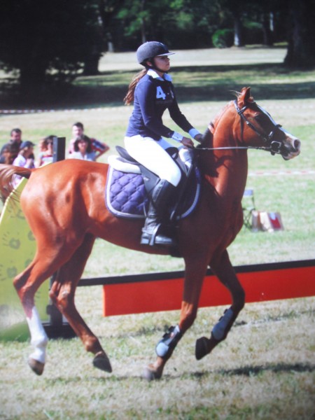 Photo de profil de gualpars