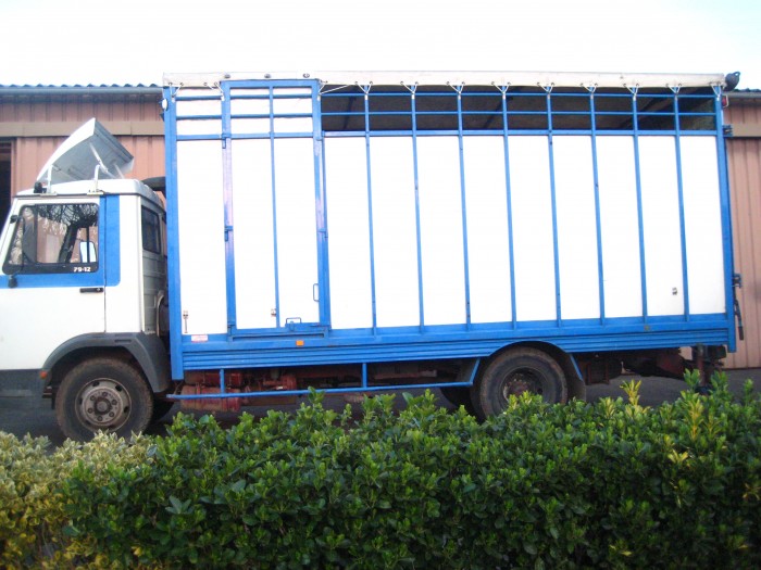 Photo de profil de paulolav