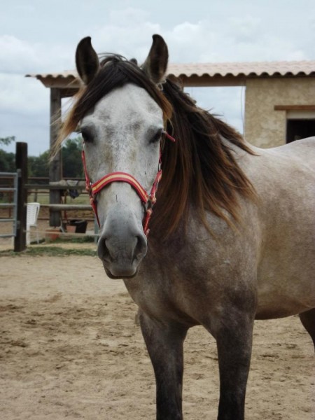 Photo de profil de thelioleslie