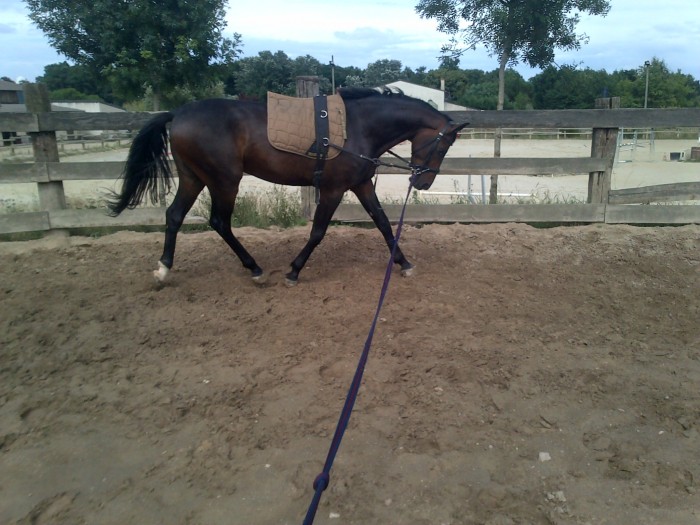 Photo de profil de lolalanvin