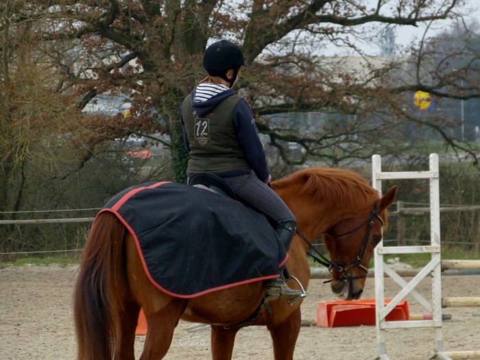 Photo de profil de mary72